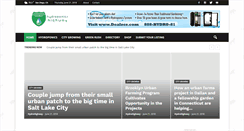 Desktop Screenshot of hydroponicshighway.com